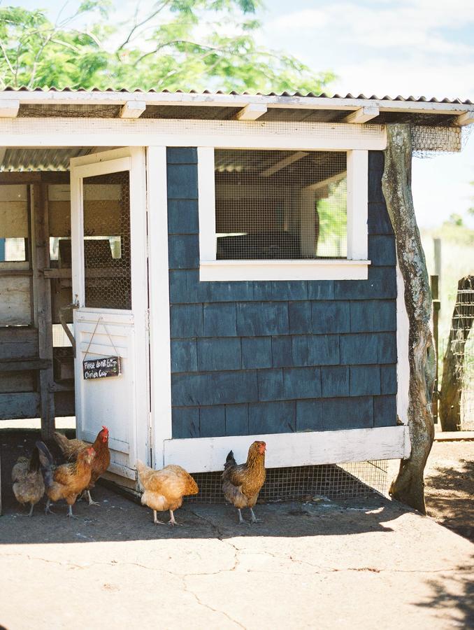 Hotel Puakea Ranch à Hawi Extérieur photo